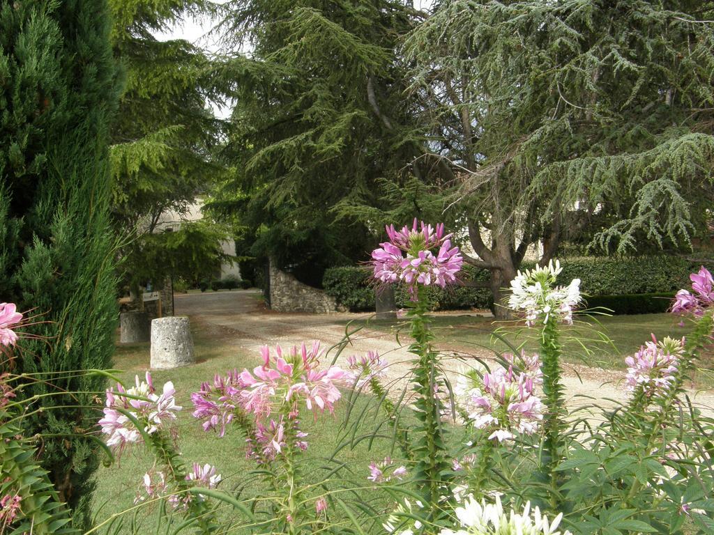 Chambres D'Hotes Domaine De La Brette Moncrabeau 객실 사진